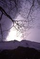 Controluce